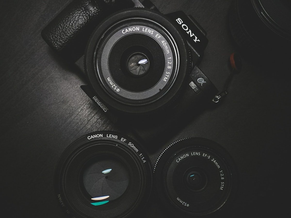 Starting Photography: Finding Your Eye Again
